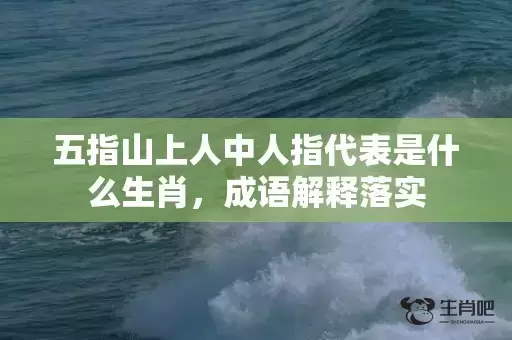 五指山上人中人指代表是什么生肖，成语解释落实