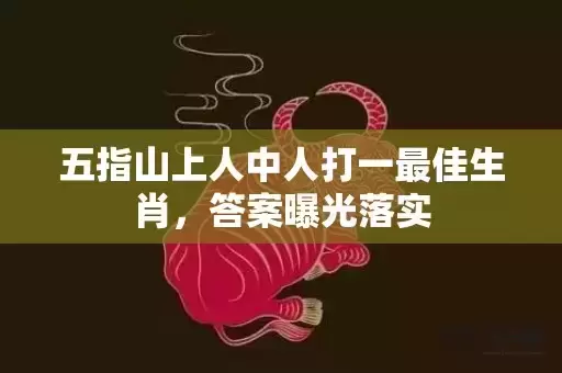 五指山上人中人打一最佳生肖，答案曝光落实