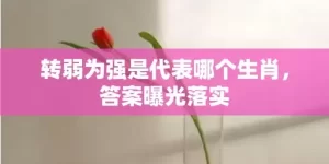 转弱为强是代表哪个生肖，答案曝光落实