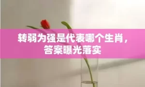 转弱为强是代表哪个生肖，答案曝光落实