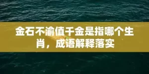 金石不渝值千金是指哪个生肖，成语解释落实