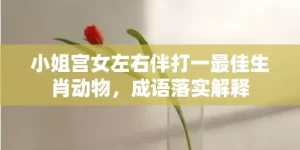 小姐宫女左右伴打一最佳生肖动物，成语落实解释