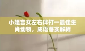 小姐宫女左右伴打一最佳生肖动物，成语落实解释