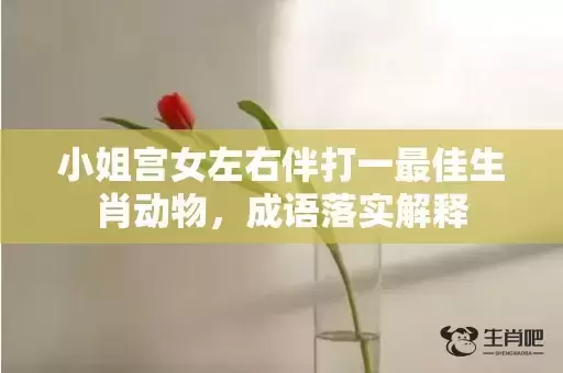 小姐宫女左右伴打一最佳生肖动物，成语落实解释
