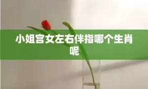 小姐宫女左右伴指哪个生肖呢