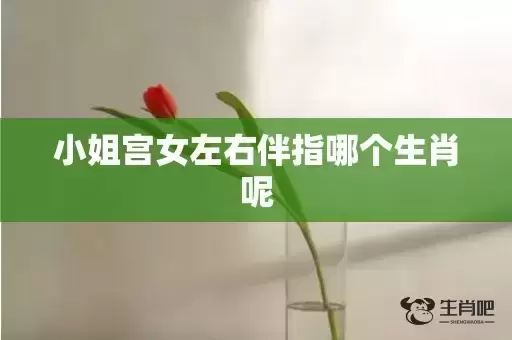 小姐宫女左右伴指哪个生肖呢