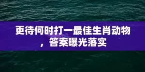 更待何时打一最佳生肖动物，答案曝光落实