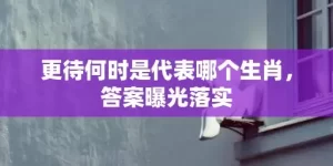 更待何时是代表哪个生肖，答案曝光落实