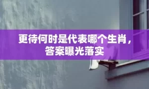 更待何时是代表哪个生肖，答案曝光落实