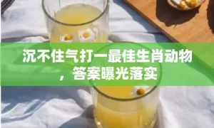 沉不住气打一最佳生肖动物，答案曝光落实