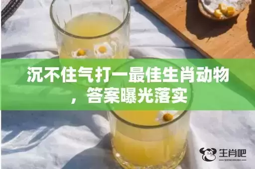 沉不住气打一最佳生肖动物,答案曝光落实 沉不住气打一最佳生肖动物,答案曝光落实