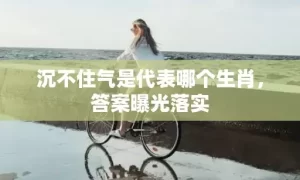 沉不住气是代表哪个生肖，答案曝光落实