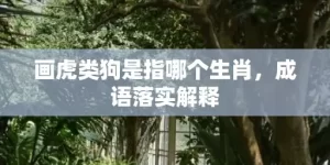 画虎类狗是指哪个生肖，成语落实解释