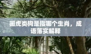 画虎类狗是指哪个生肖，成语落实解释