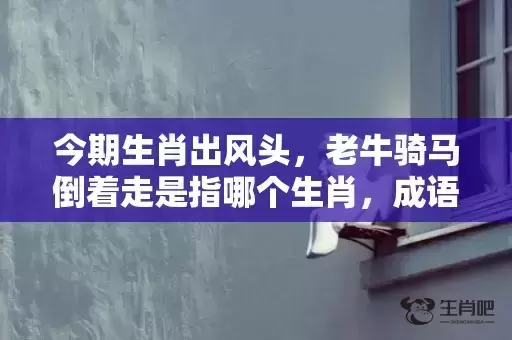今期生肖出风头，老牛骑马倒着走是指哪个生肖，成语落实解释