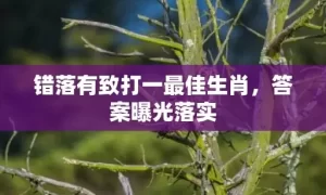 错落有致打一最佳生肖，答案曝光落实