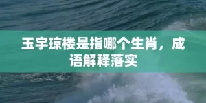 玉宇琼楼是指哪个生肖，成语解释落实