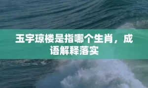 玉宇琼楼是指哪个生肖，成语解释落实