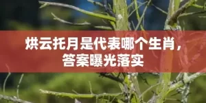 烘云托月是代表哪个生肖，答案曝光落实