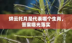 烘云托月是代表哪个生肖，答案曝光落实