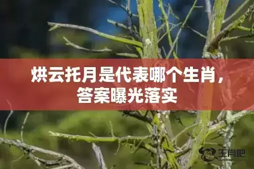 烘云托月是代表哪个生肖,答案曝光落实 烘云托月是代表哪个生肖,答案曝光落实