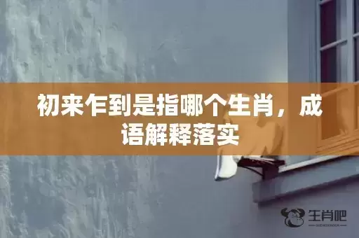 初来乍到是指哪个生肖，成语解释落实