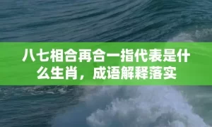 八七相合再合一指代表是什么生肖，成语解释落实