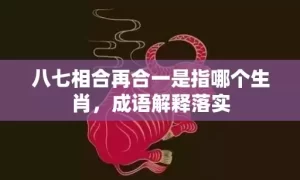 八七相合再合一是指哪个生肖，成语解释落实