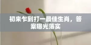 初来乍到打一最佳生肖，答案曝光落实