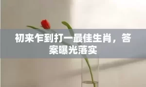 初来乍到打一最佳生肖，答案曝光落实