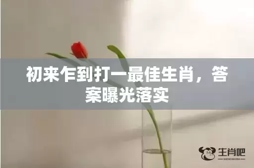 初来乍到打一最佳生肖，答案曝光落实