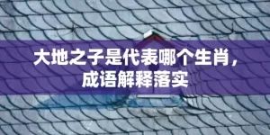 大地之子是代表哪个生肖，成语解释落实