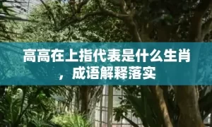 高高在上指代表是什么生肖，成语解释落实