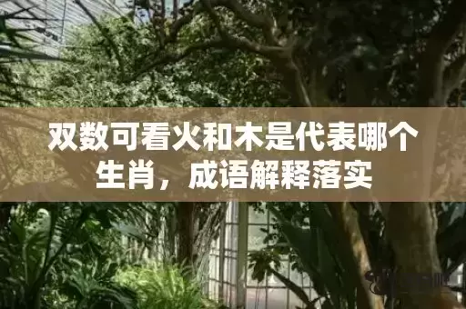 双数可看火和木是代表哪个生肖，成语解释落实