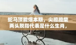 蛇马顶能爆本期，尖担担柴两头脱指代表是什么生肖，成语解释落实