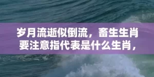 岁月流逝似倒流，畜生生肖要注意指代表是什么生肖，成语解释落实