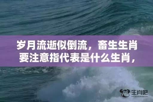 岁月流逝似倒流,畜生生肖要注意指代表是什么生肖,成语解释落实 岁月流逝似倒流,畜生生肖要注意指代表是什么生肖,成语解释落实