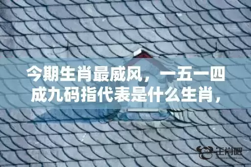 今期生肖最威风，一五一四成九码指代表是什么生肖，成语解释落实