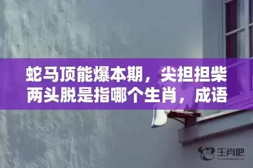 蛇马顶能爆本期，尖担担柴两头脱是指哪个生肖，成语解释落实
