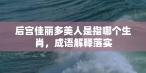 后宫佳丽多美人是指哪个生肖，成语解释落实