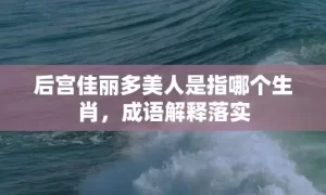 后宫佳丽多美人是指哪个生肖，成语解释落实