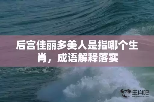 后宫佳丽多美人是指哪个生肖,成语解释落实 后宫佳丽多美人是指哪个生肖,成语解释落实