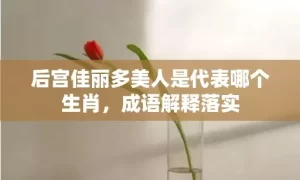 后宫佳丽多美人是代表哪个生肖，成语解释落实