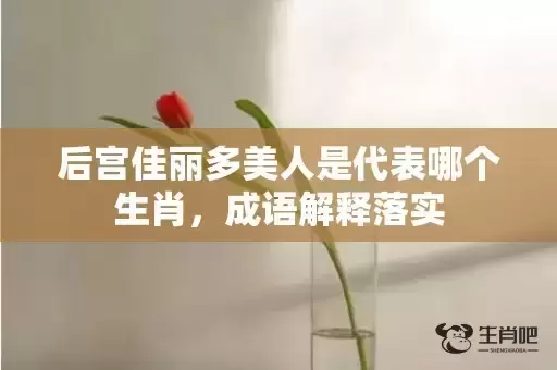 后宫佳丽多美人是代表哪个生肖,成语解释落实 后宫佳丽多美人是代表哪个生肖,成语解释落实