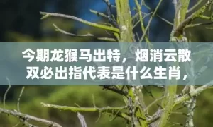 今期龙猴马出特，烟消云散双必出指代表是什么生肖，成语解释落实