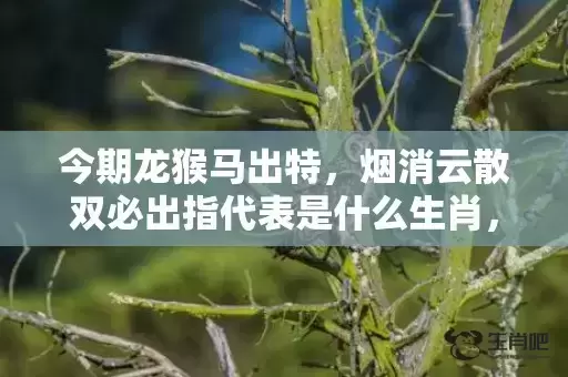 今期龙猴马出特,烟消云散双必出指代表是什么生肖,成语解释落实 今期龙猴马出特,烟消云散双必出指代表是什么生肖,成语解释落实