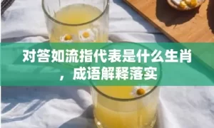 对答如流指代表是什么生肖，成语解释落实