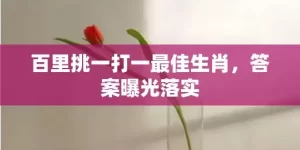 百里挑一打一最佳生肖，答案曝光落实