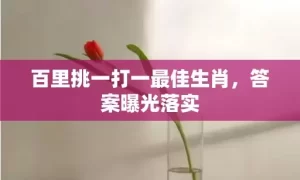 百里挑一打一最佳生肖，答案曝光落实