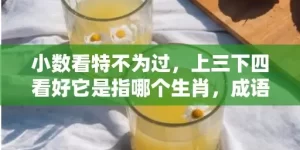 小数看特不为过，上三下四看好它是指哪个生肖，成语解释落实